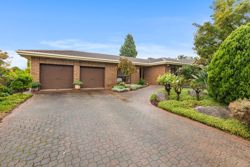 11 Lark Court, Wynn Vale SA 5127