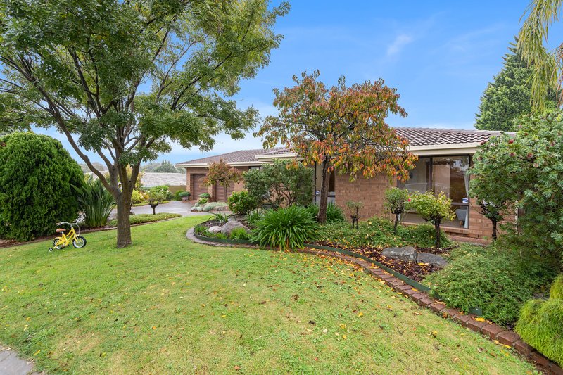 Photo - 11 Lark Court, Wynn Vale SA 5127 - Image 2