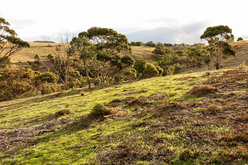 Photo - 11 Lebrex Road, Coimadai VIC 3340 - Image 4