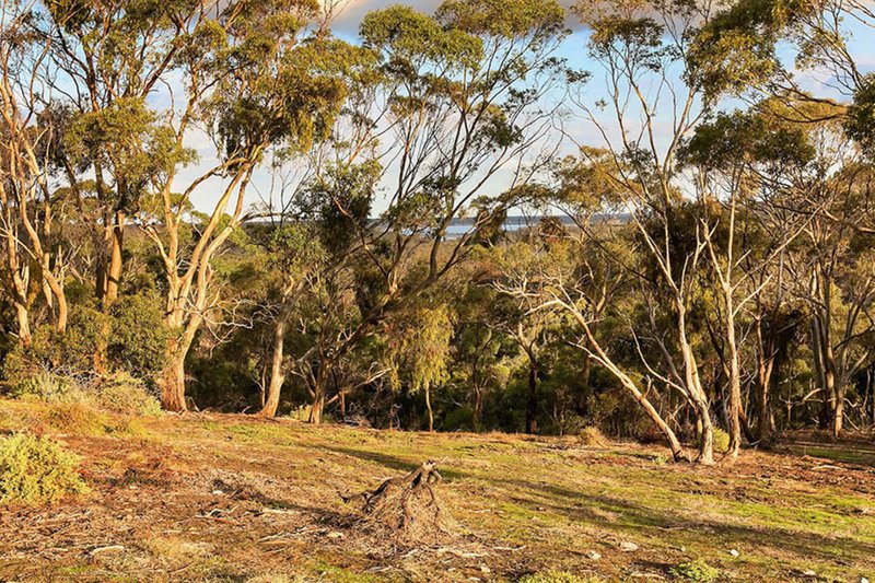 Photo - 11 Lebrex Road, Coimadai VIC 3340 - Image 6