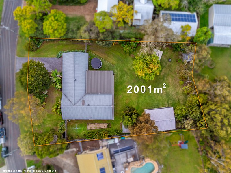 Photo - 11 Lewisham Court, Birkdale QLD 4159 - Image 22