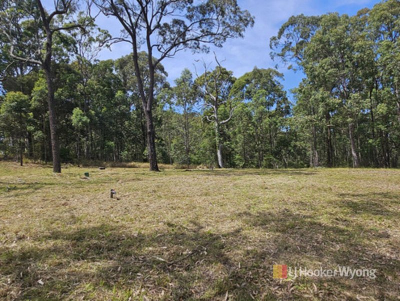 Photo - 11 Lexington Avenue, Wadalba NSW 2259 - Image 8