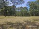 Photo - 11 Lexington Avenue, Wadalba NSW 2259 - Image 8