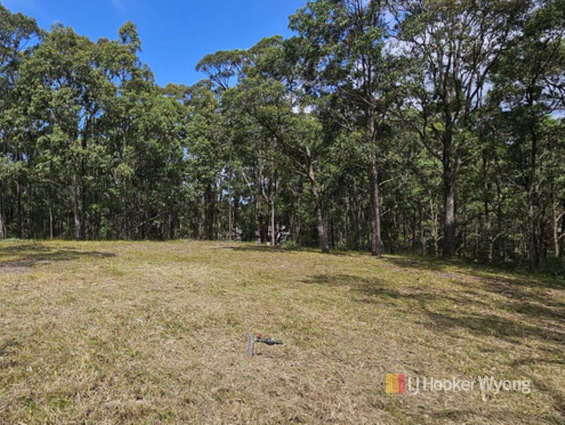 Photo - 11 Lexington Avenue, Wadalba NSW 2259 - Image 9