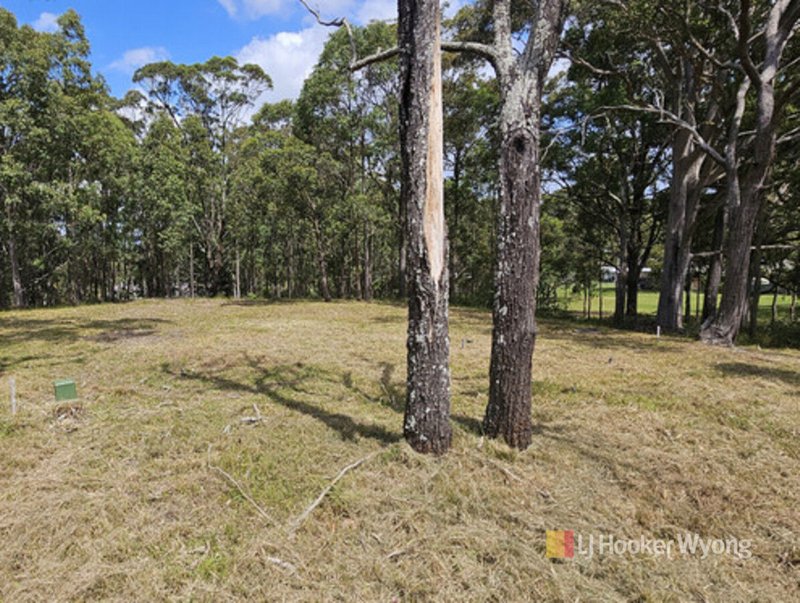 Photo - 11 Lexington Avenue, Wadalba NSW 2259 - Image 10