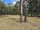 Photo - 11 Lexington Avenue, Wadalba NSW 2259 - Image 10