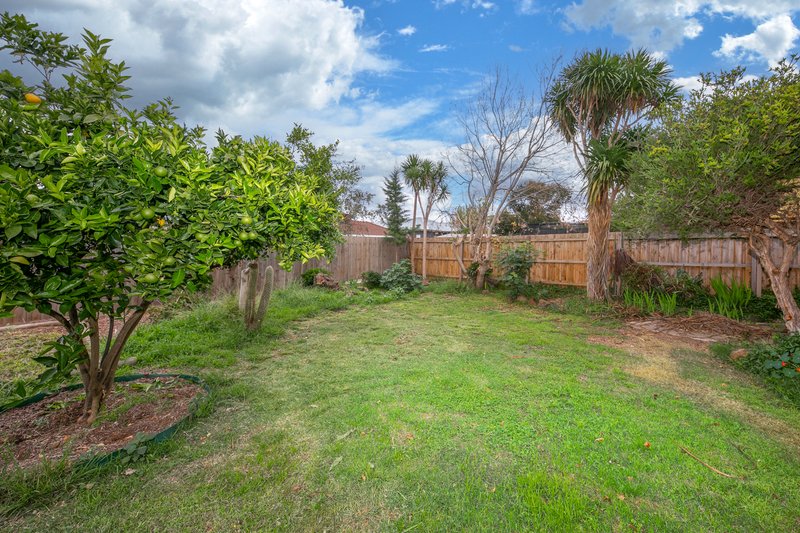 Photo - 11 License Road, Diggers Rest VIC 3427 - Image 3