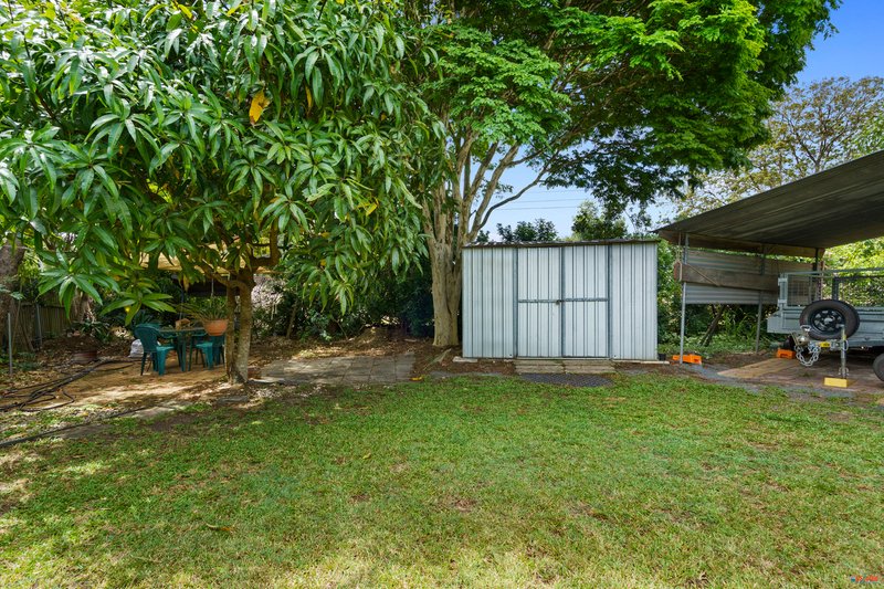 Photo - 11 Macfarlan Street, Birkdale QLD 4159 - Image 5