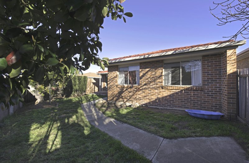 Photo - 11 Manna Close, Palmerston ACT 2913 - Image 4