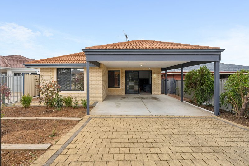 Photo - 11 Manoff Road, Balcatta WA 6021 - Image 1