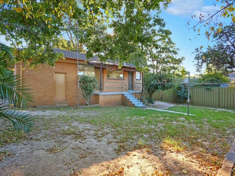 Photo - 11 Marsden Avenue, Elderslie NSW 2570 - Image 5