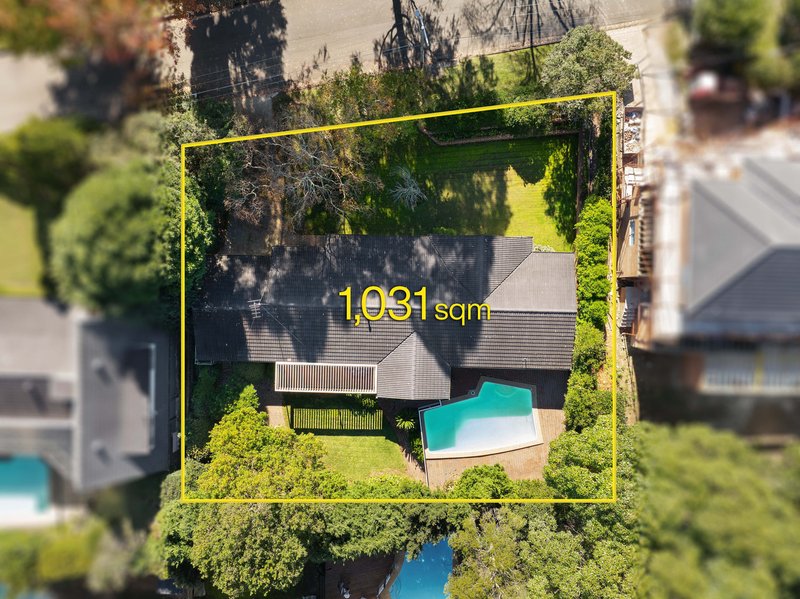Photo - 11 Maunder Avenue, St Ives NSW 2075 - Image 2