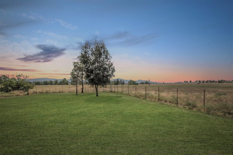 Photo - 11 Mccarthy Place, Quirindi NSW 2343 - Image 3