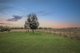 Photo - 11 Mccarthy Place, Quirindi NSW 2343 - Image 3