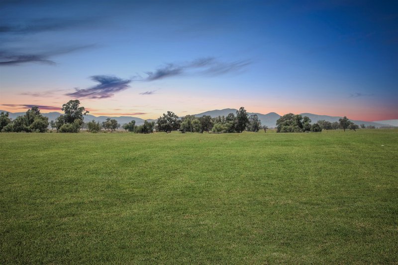 Photo - 11 Mccarthy Place, Quirindi NSW 2343 - Image 13