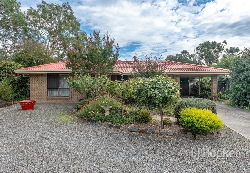 Photo - 11 Memorial Drive, Mount Barker SA 5251 - Image 1