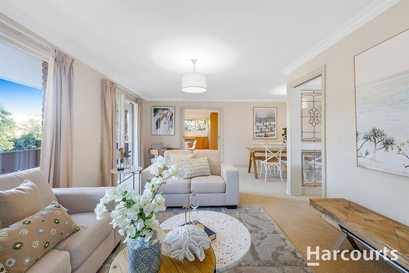 Photo - 11 Miller Road, Heathmont VIC 3135 - Image 5