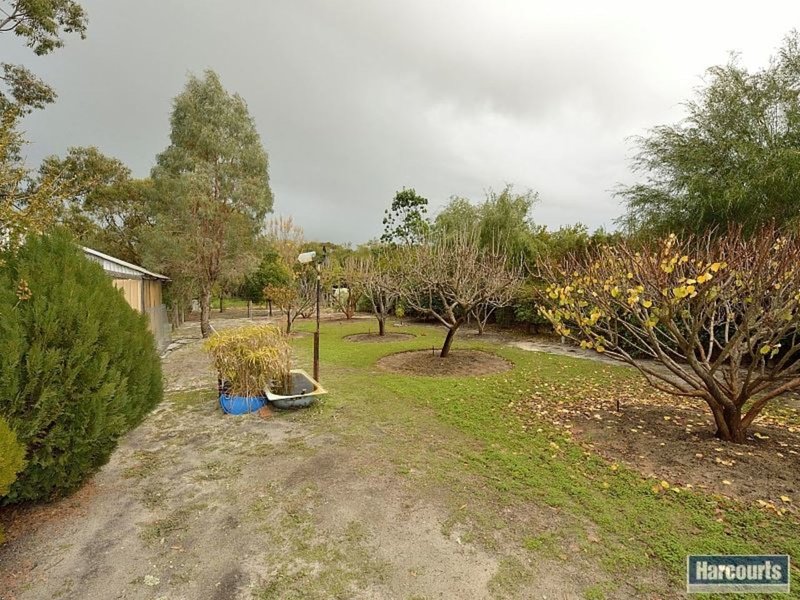 Photo - 11 Moores Road, Pinjarra WA 6208 - Image 19