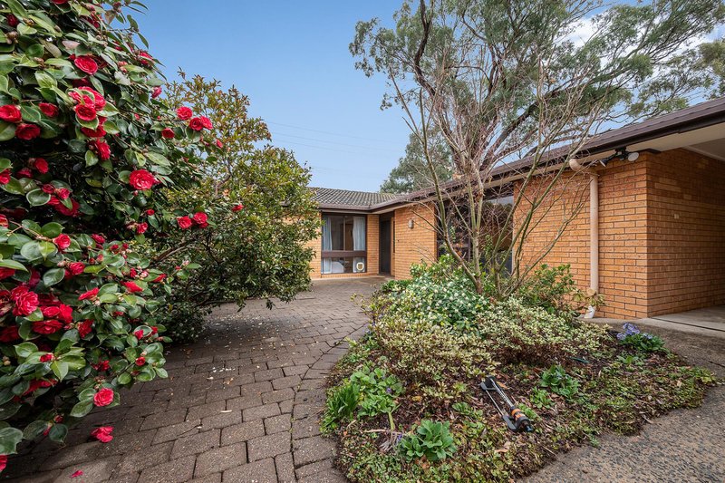 Photo - 11 Nambucca Street, Kaleen ACT 2617 - Image 3