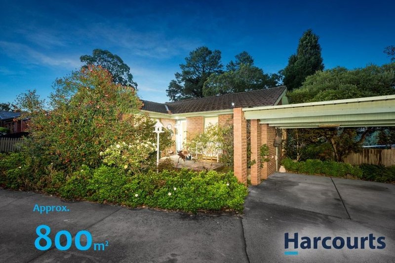 11 Napier Close, Wantirna VIC 3152