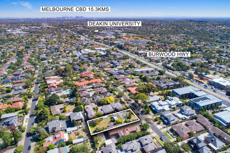 Photo - 11 Newbigin Street, Burwood VIC 3125 - Image 9