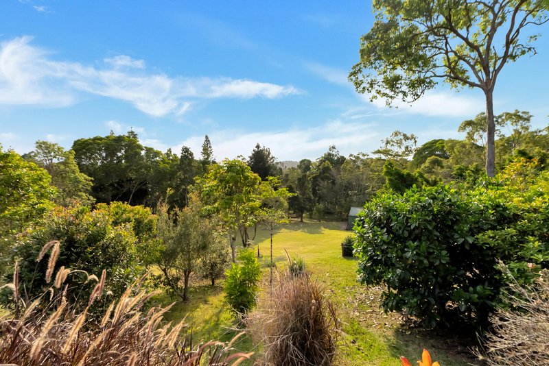 Photo - 11 Old Boar Pocket Road, Barrine QLD 4872 - Image 8