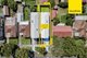 Photo - 11 Oleander Ave , Lidcombe NSW 2141 - Image 23