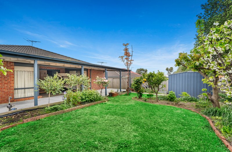 Photo - 11 Outcrop Crescent, South Morang VIC 3752 - Image 9