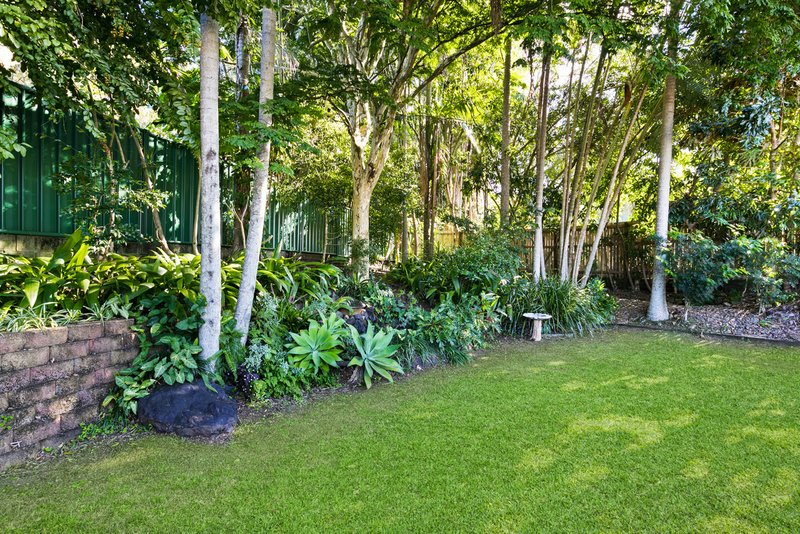 Photo - 11 Pandor Ct , Buderim QLD 4556 - Image 11