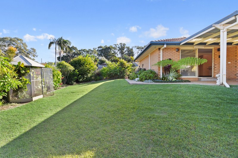 Photo - 11 Pandora Court, Cleveland QLD 4163 - Image 3