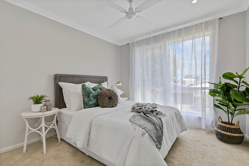 Photo - 11 Pepper Tree Circuit, Maroochydore QLD 4558 - Image 19