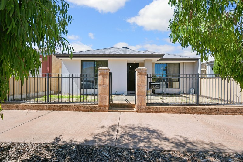 Photo - 11 Piesley Street, Hammond Park WA 6164 - Image 1