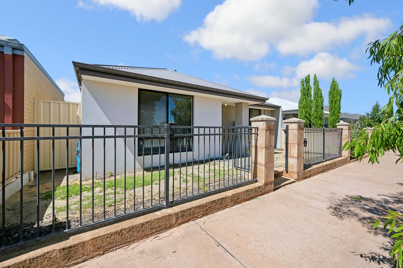 Photo - 11 Piesley Street, Hammond Park WA 6164 - Image 3