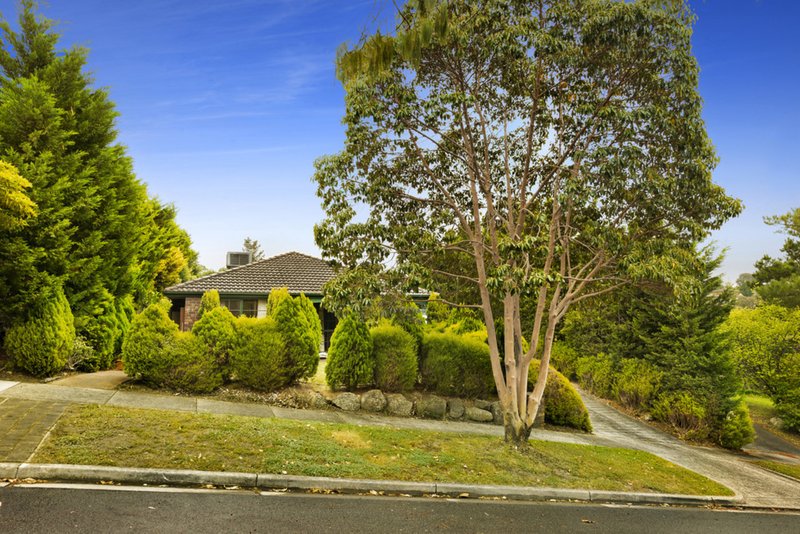 11 Pine Lodge Court, Templestowe VIC 3106