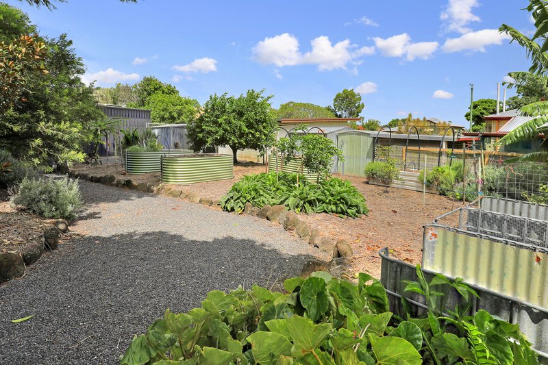 Photo - 11 Pitt Street, Bundaberg South QLD 4670 - Image 25