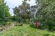 Photo - 11 Post Office Road, Lobethal SA 5241 - Image 5