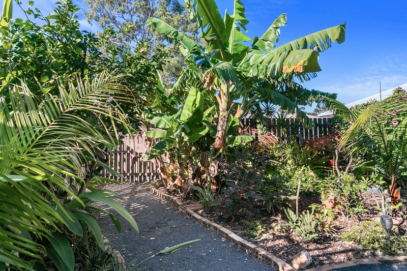 Photo - 11 Princess Park Court, Torquay QLD 4655 - Image 19