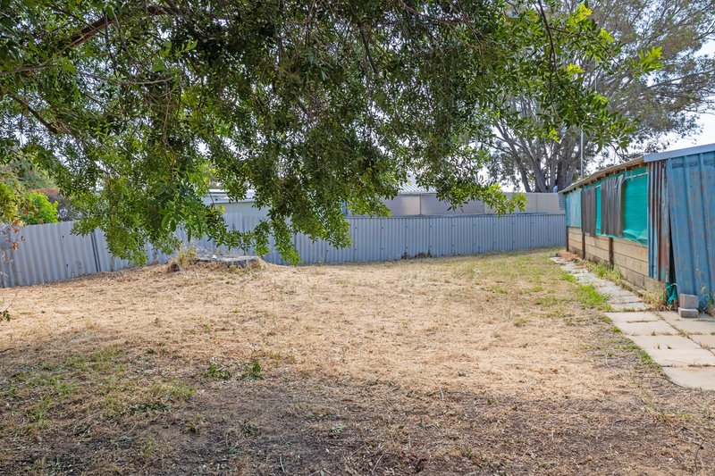 Photo - 11 Quandong Place, Leeman WA 6514 - Image 19