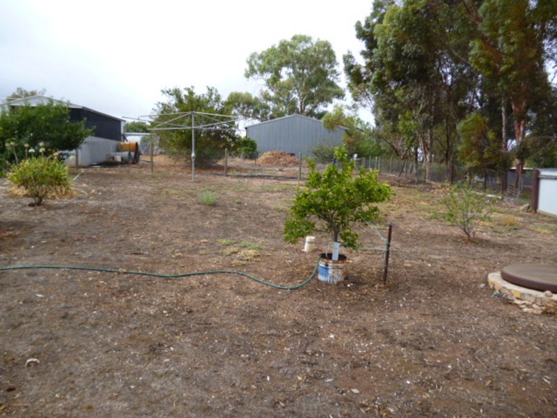 Photo - 11 Radiata Street, Wirrabara SA 5481 - Image 9