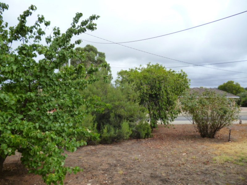 Photo - 11 Radiata Street, Wirrabara SA 5481 - Image 10