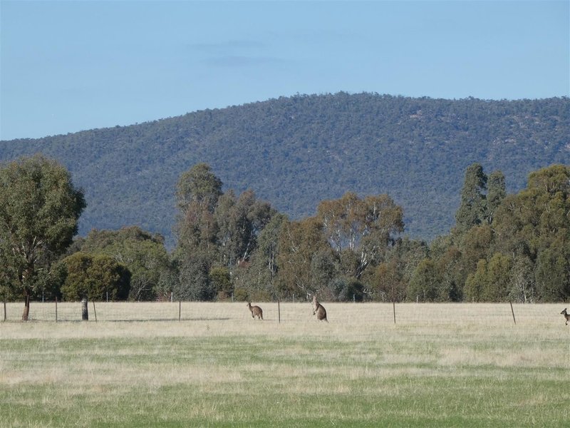 Photo - 11 Rosebrook Glenisla Road, Wartook VIC 3401 - Image 16