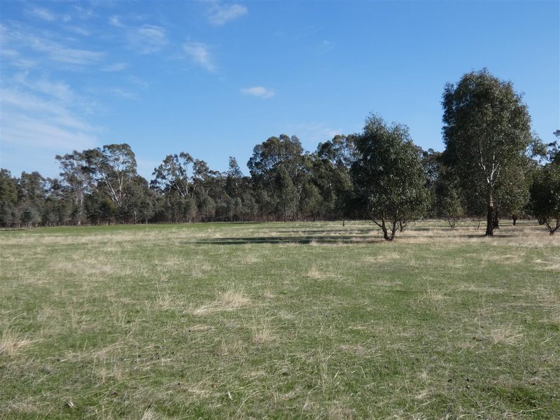 Photo - 11 Rosebrook Glenisla Road, Wartook VIC 3401 - Image 20