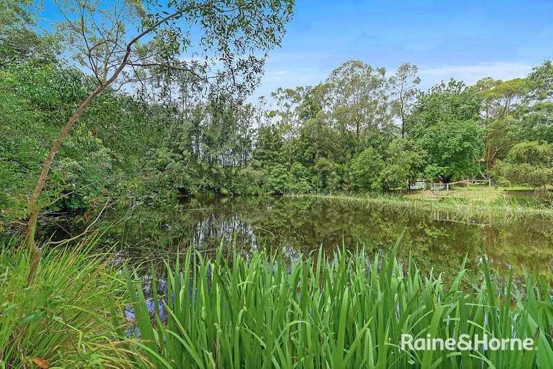 Photo - 11 Sabal Close, Berry NSW 2535 - Image 14