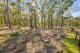 Photo - 11 Sackville Street, Killingworth NSW 2278 - Image 2