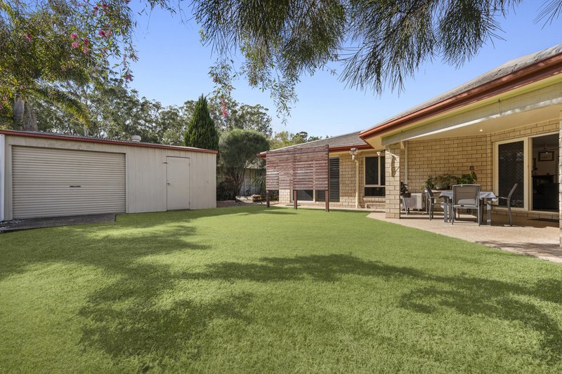 Photo - 11 Santa Ana Court, Beerwah QLD 4519 - Image 6
