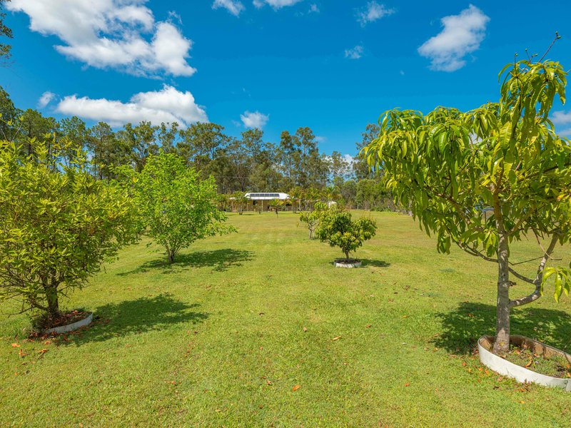 Photo - 11 Sarah Road, Glenwood QLD 4570 - Image 23