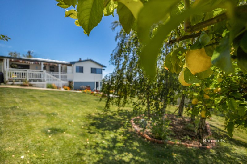 Photo - 11 Seaside Crescent, Penguin TAS 7316 - Image 35