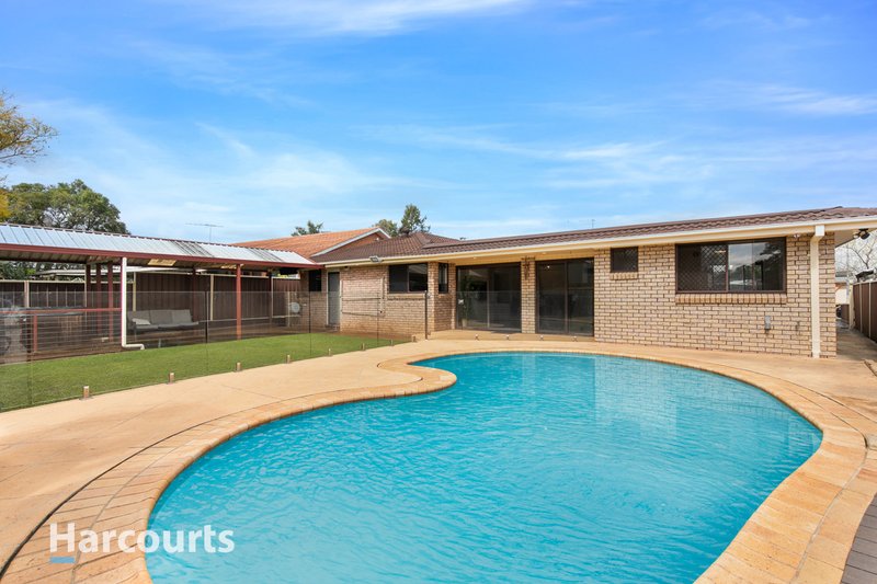 Photo - 11 Solander Drive, St Clair NSW 2759 - Image 8