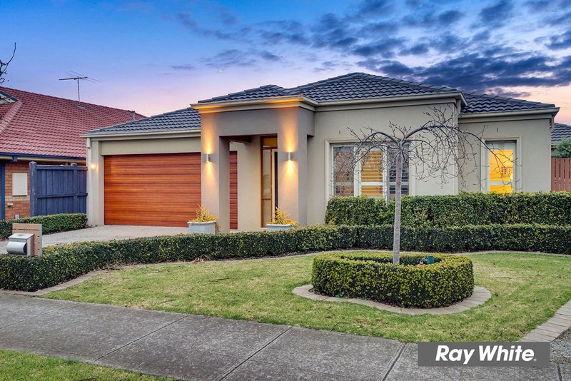 11 Solander Grove, Tarneit VIC 3029