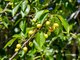 Photo - 11 Somerton Crescent, Derwent Park TAS 7009 - Image 10